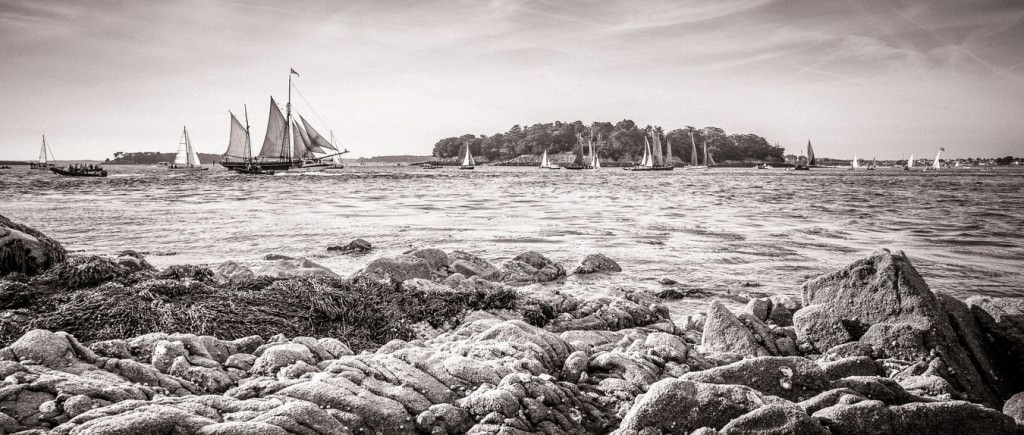 Petite parade de la semaine du Golfe du Morbihan