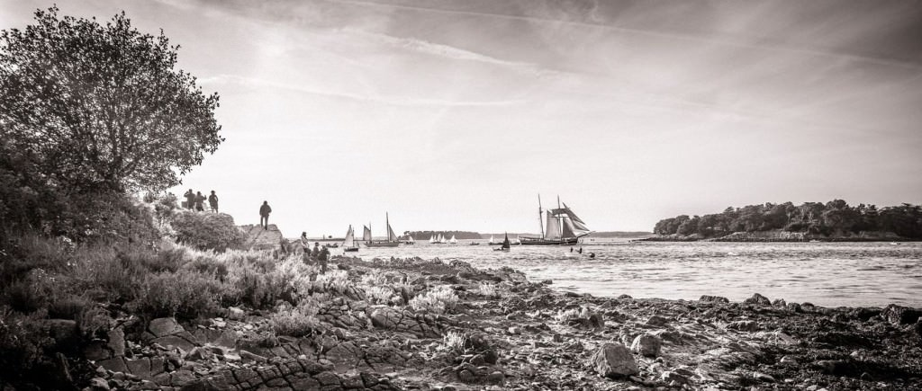 Petite parade de la semaine du Golfe du Morbihan