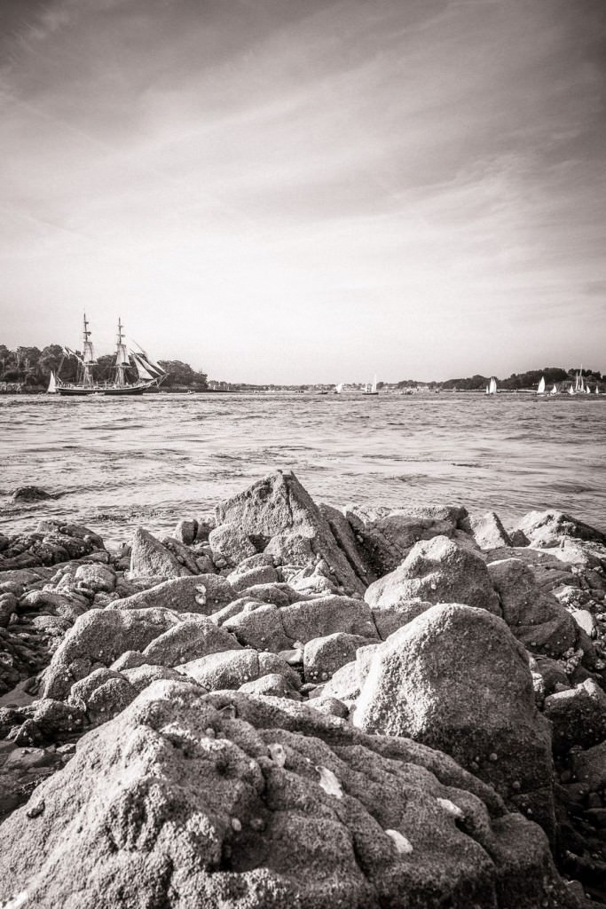 Petite parade de la semaine du Golfe du Morbihan