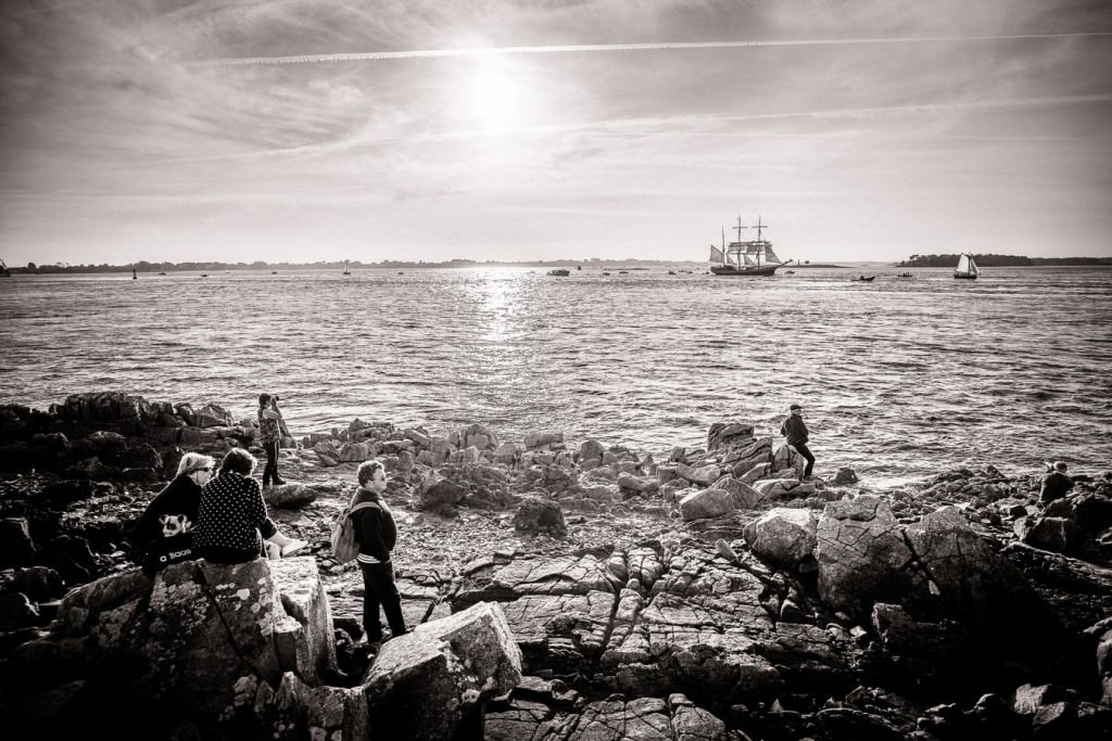 Petite parade de la semaine du Golfe du Morbihan