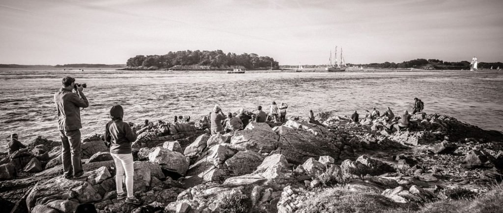 Petite parade de la semaine du Golfe du Morbihan