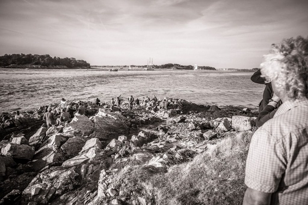 Petite parade de la semaine du Golfe du Morbihan