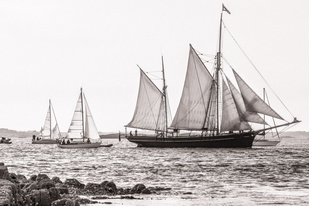 Petite parade de la semaine du Golfe du Morbihan