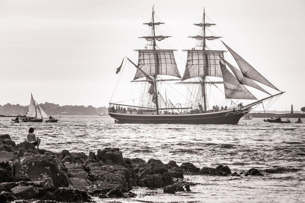 Petite parade de la semaine du Golfe du Morbihan