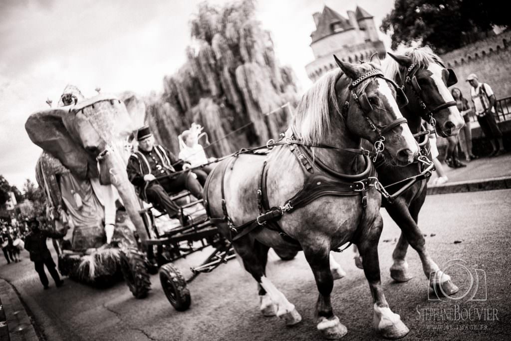 Fêtes historiques Vannes 2016