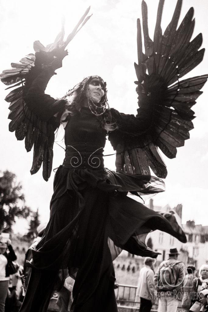 Fêtes historiques Vannes 2016