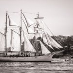 Semaine du Golfe du Morbihan 2015, parade de bateaux