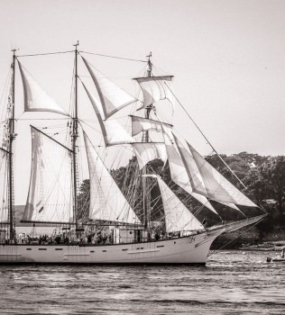 Semaine du Golfe du Morbihan