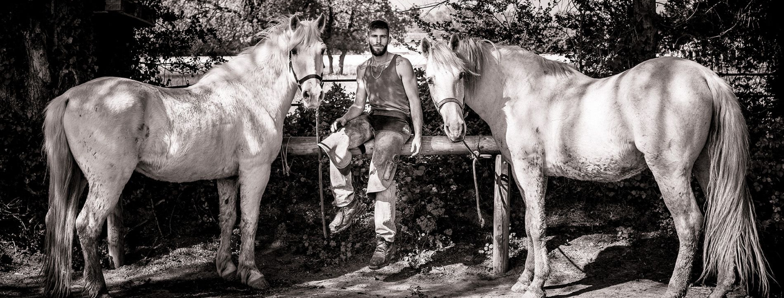 Portrait maréchal-ferrant avec deux chevaux à Arles