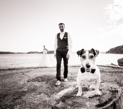 Mariage d&rsquo;Hélène et Grégory